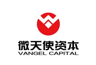 青島微天使商務信息咨詢管理企業 專業引領，助力企業騰飛