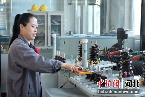 河北清苑 綠色工廠為經(jīng)濟發(fā)展注入新動能，商務(wù)咨詢保駕護航